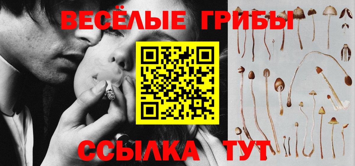 Сибай  Галлюциногенные грибы мицелий  Вход с VPN  Псилоцибиновые грибы мухоморы 